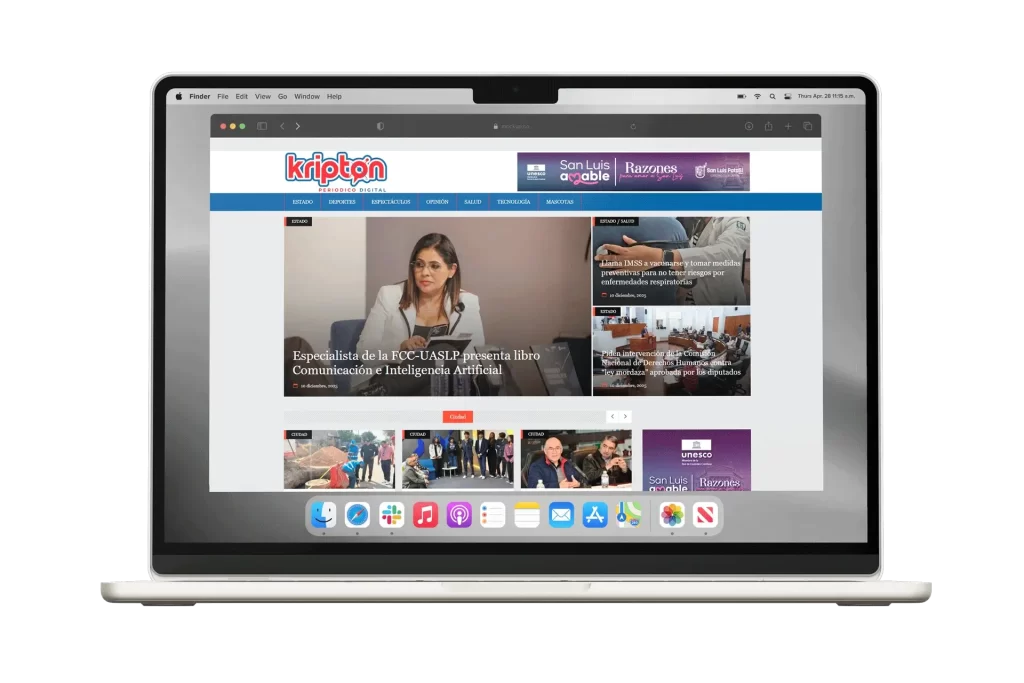 paginas web profesionales economicas san luis potosi