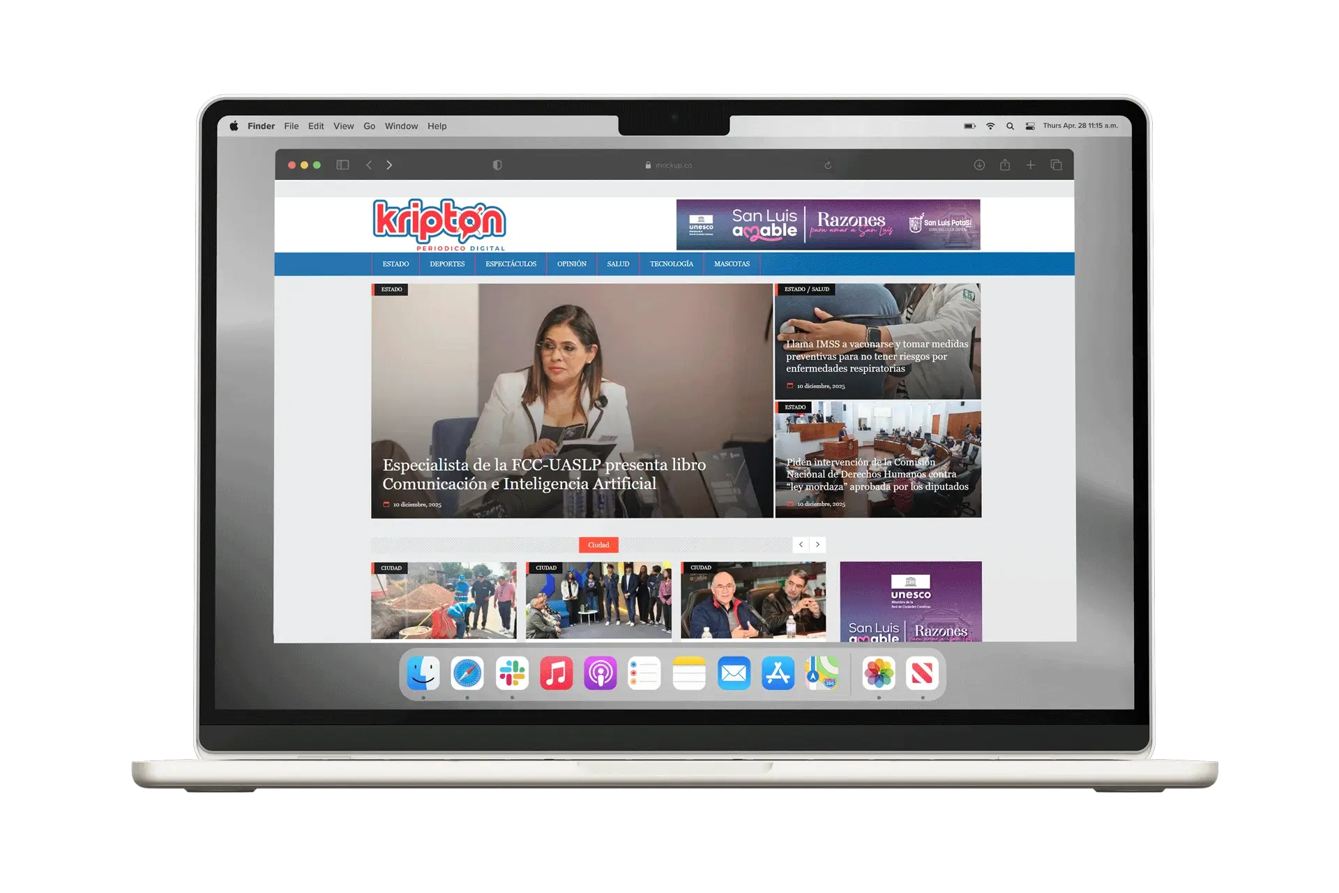 paginas web profesionales economicas san luis potosi