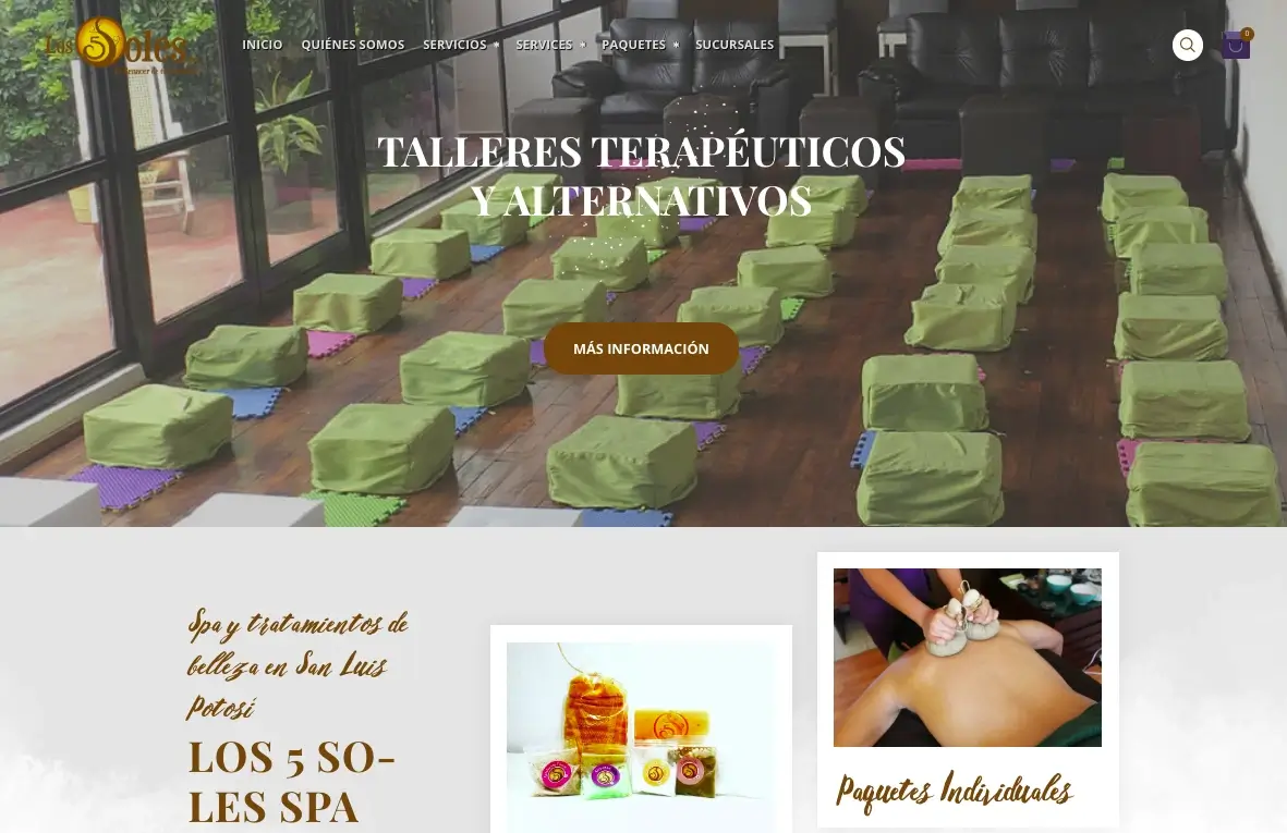diseño web profesional san luis
